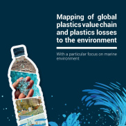Mapping of Global Plastics Value Chain and Plastics Losses to the ...